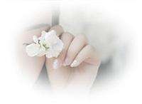 Alice_xueli